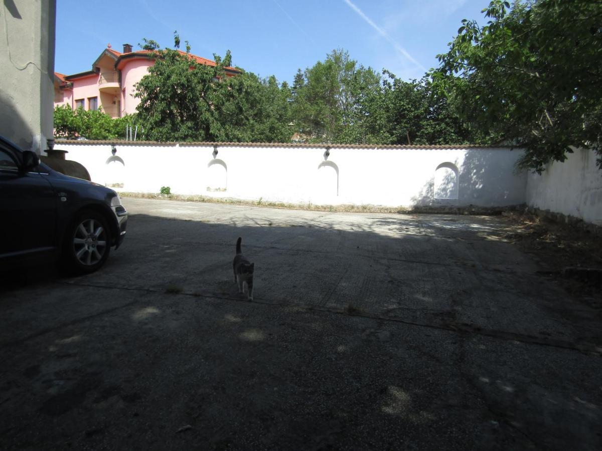 Hostel Papagal Varna Exterior photo